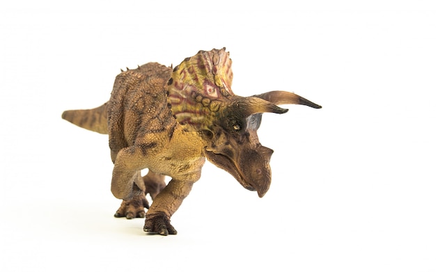 Triceratops, dinossauro