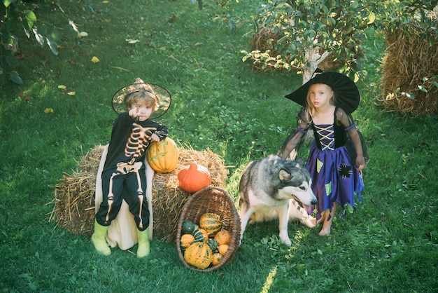 Trickortreat Kinderkonzept Happy Halloween jackolantern Kinder in Amerika feiern Halloween