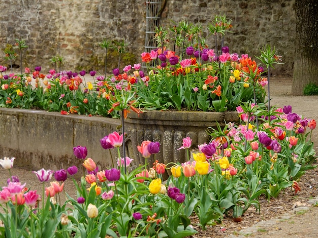 Foto trier in deutschland.