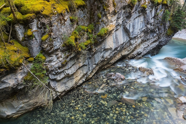 Trilha da garganta de Johnston Banff