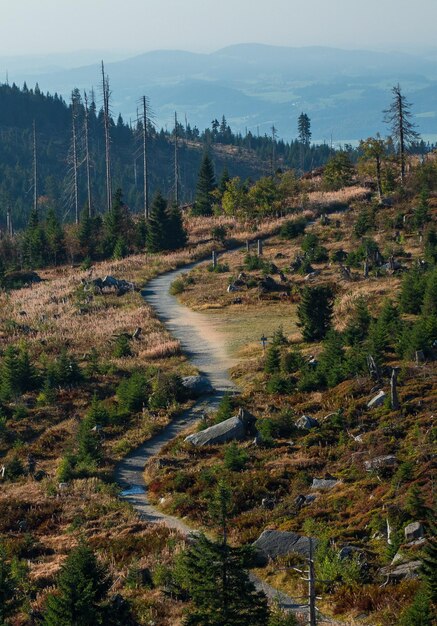 Foto trilha de caminhada da baviera neureichenau