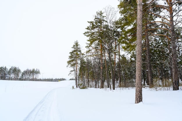 Trilha de caminhada em uma bela paisagem de inverno coberta de neve