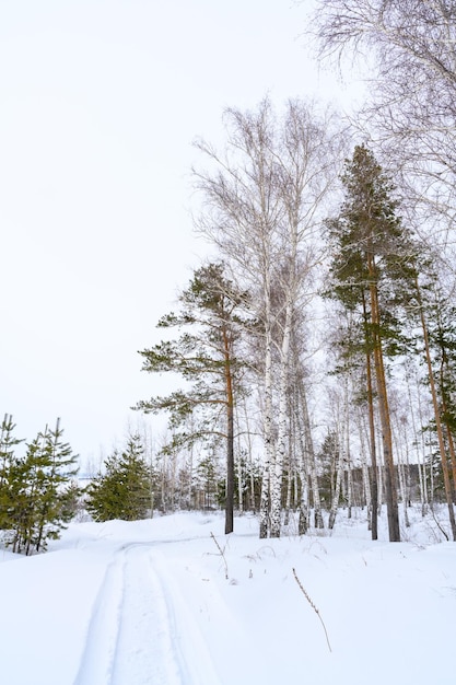 Trilha de caminhada em uma bela paisagem de inverno coberta de neve