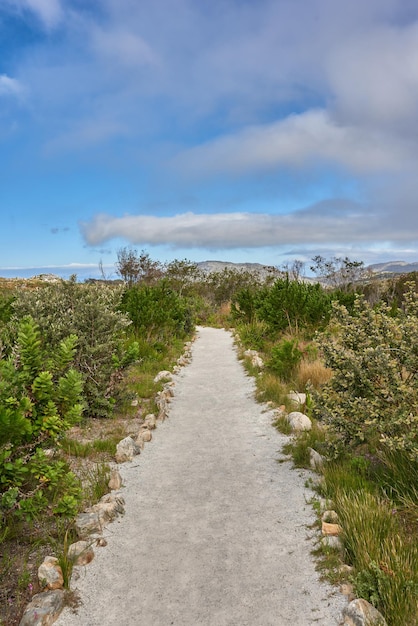 Trilha de caminhada isolada em uma paisagem natural perfeita para caminhar ao ar livre Bela vista da natureza com plantas de grama verde e um fundo de céu azul Dia relaxante ao ar livre no verão perto de uma montanha