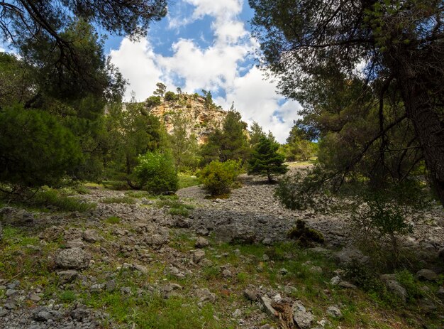 Trilha de caminhada no desfiladeiro da montanha de Agali, na ilha de Evia, na Grécia