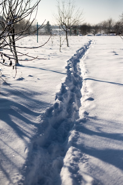 Foto trilha de inverno na neve