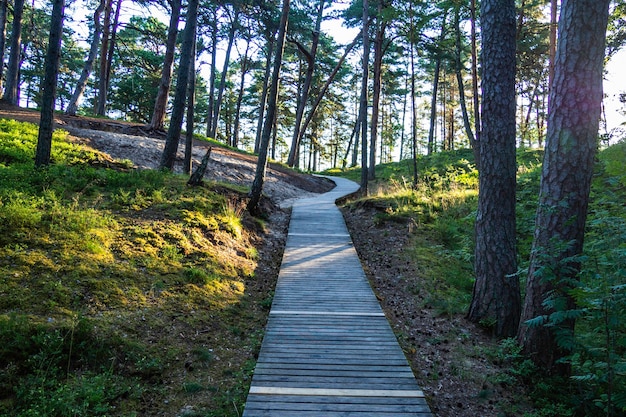 Trilha de madeira pelas dunas da floresta até a praia do oceano.