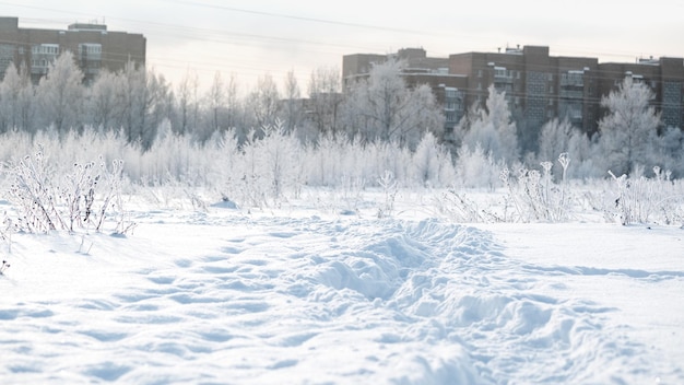 Trilha em árvores de neve cobertas com paisagem de inverno dos subúrbios da cidade branca