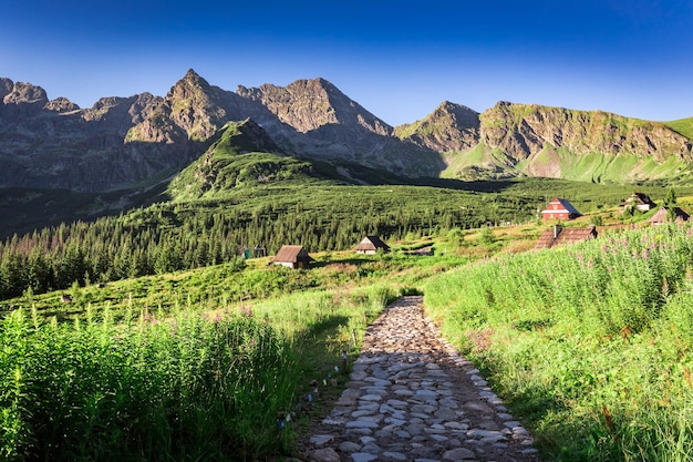 Trilha em Tatras levando a uma pequena vila Polônia Europa