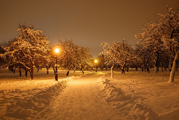 Trilha em um parque da cidade de inverno.