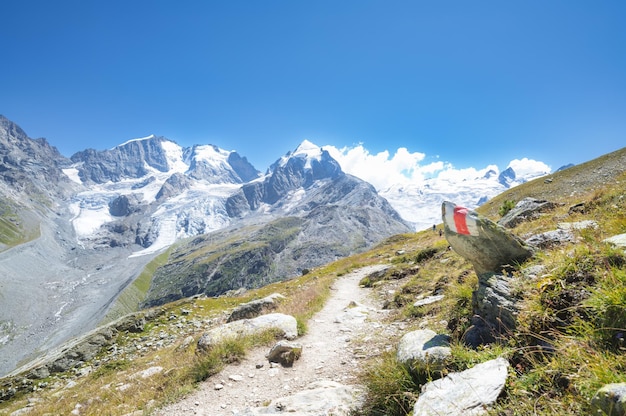 Trilha marcada nos Alpes suíços