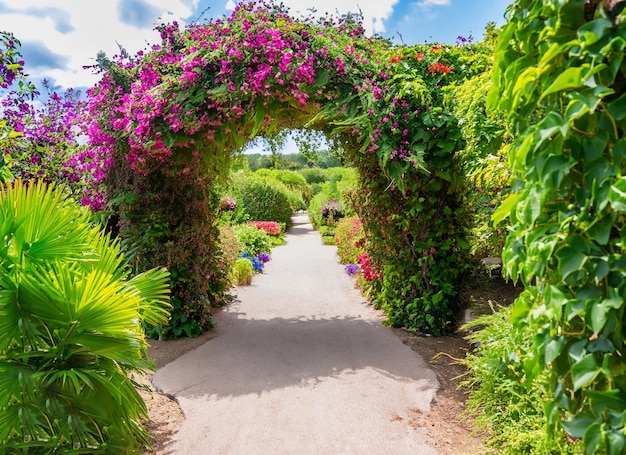 Foto trilha sob um belo arco de flores e plantas