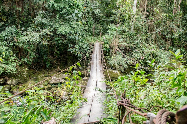 Trilha visual da trilha de ouro na cordilheira de Bocaina