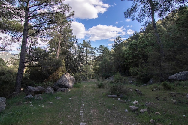 Trilhas com vistas maravilhosas da Sierra De Cazorla Espanha Conceito de turismo de natureza