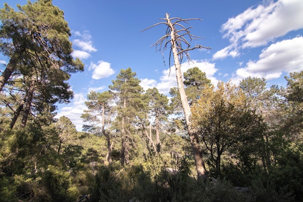 Trilhas com vistas maravilhosas da Sierra De Cazorla Espanha Conceito de turismo de natureza