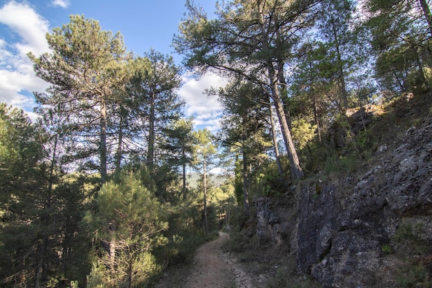 Trilhas com vistas maravilhosas da Sierra De Cazorla Espanha Conceito de turismo de natureza