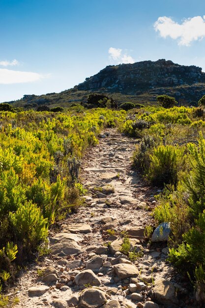 Trilhas de Dirt Track no topo de uma montanha na costa da Cidade do Cabo