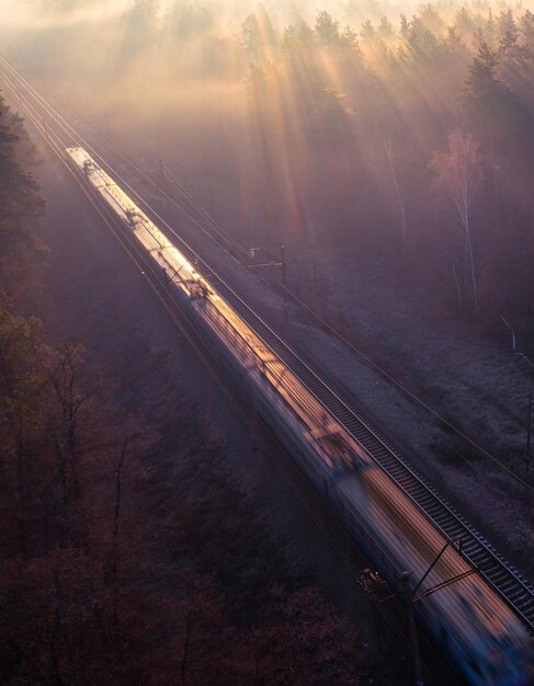 Trilhas em Tranquilidade Drone Acima do Trem da Floresta ao amanhecer