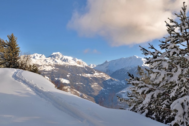 Trilhas na neve fresca em uma trilha com pinheiros cobertos de neve no topo de uma montanha alpina em uma bela paisagem de inverno