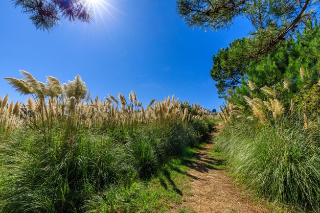 Trilhas para caminhada ao longo da costa da Espanha