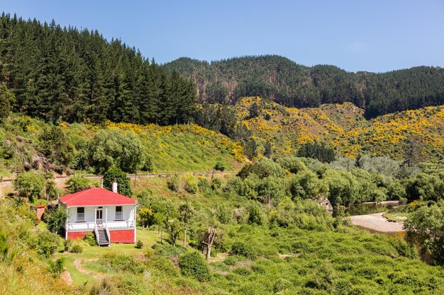 Trilho ferroviário até Taieri Gorge Nova Zelândia