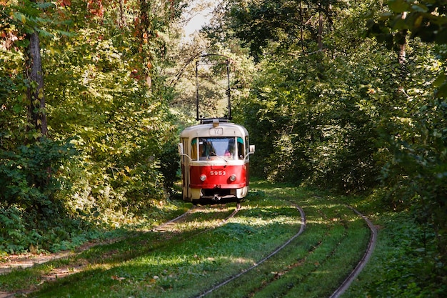 Trilhos de bonde e bonde na floresta colorida