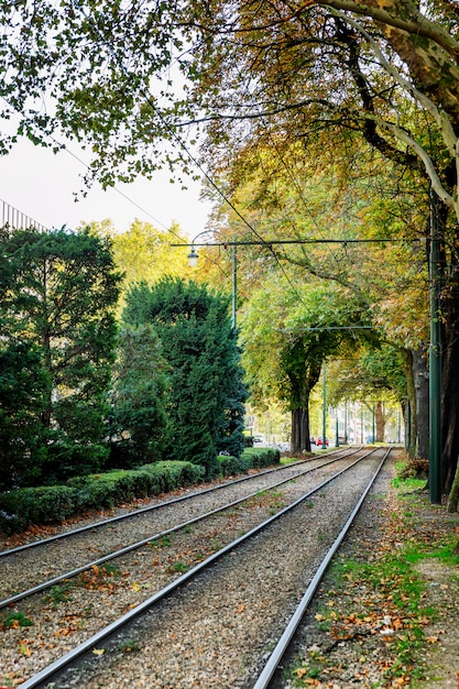 Trilhos de bonde em um belo parque verde com vegetação densa.