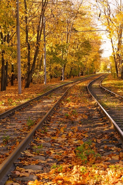 Trilhos de bonde na floresta de outono Transporte urbano elétrico em Moscou na Rússia