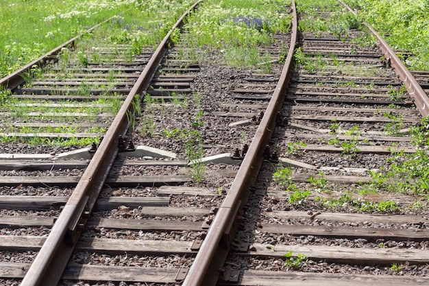 Trilhos de trem abandonados com plantas verdes ao redor