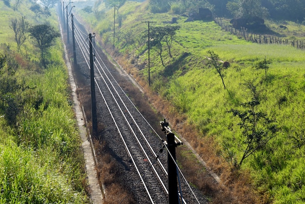 Trilhos de trem iluminados com grama verde nas margens