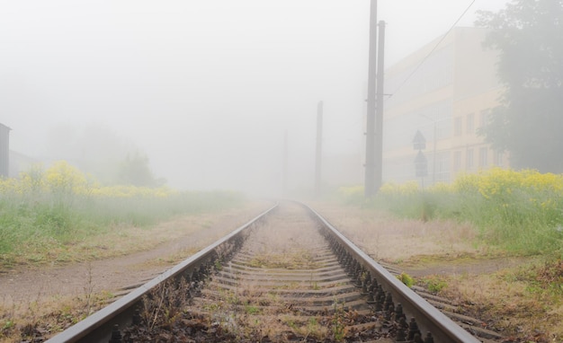 Trilhos de trem na névoa da manhã