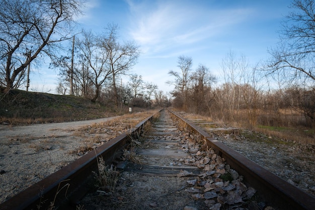 Trilhos ferroviários de bitola estreita que se estendem à distância