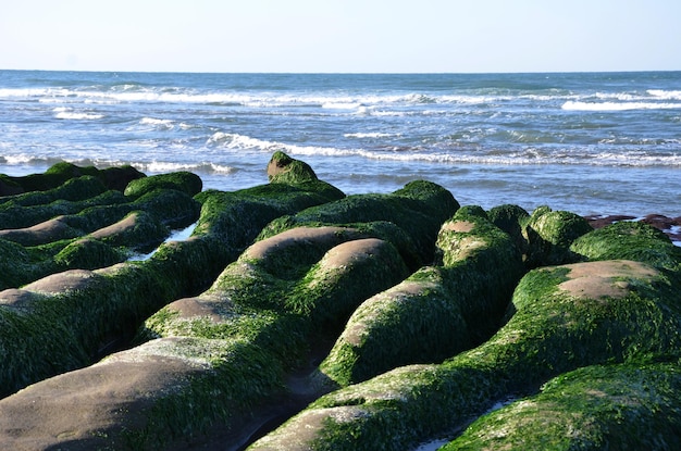 Trincheira de pedra da costa de Laomei