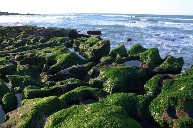 Trincheira de pedra da costa de Laomei