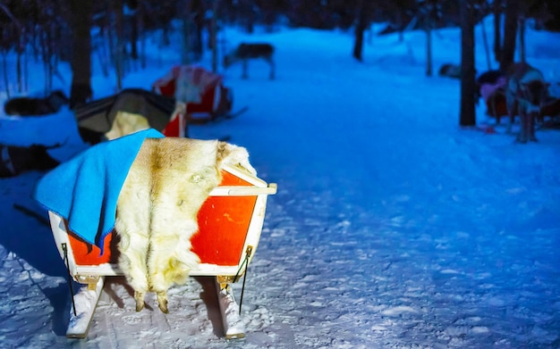 Trineo de renos en la noche Finlandia en Rovaniemi en la granja de Laponia. Trineo de Navidad en el safari de trineo de invierno por la noche con nieve Polo norte ártico finlandés. Diversión con animales Saami de Noruega.