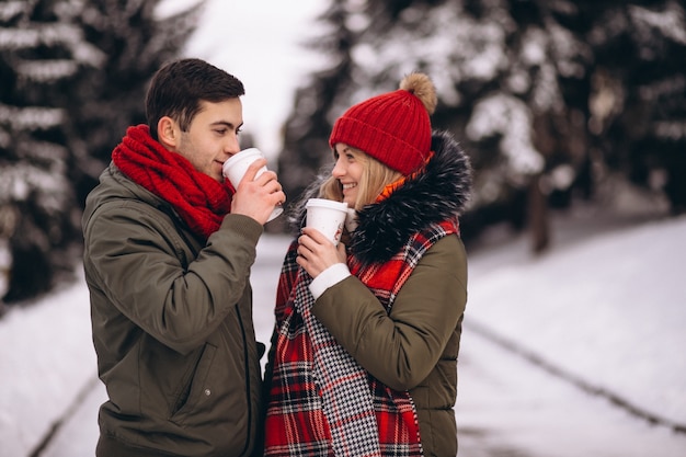 Trinkender Kaffee der Paare und Gehen in den Winter parken