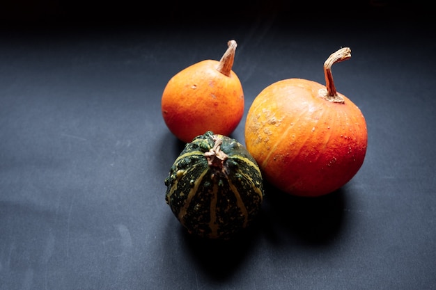 Un trío de calabazas sobre un fondo negro