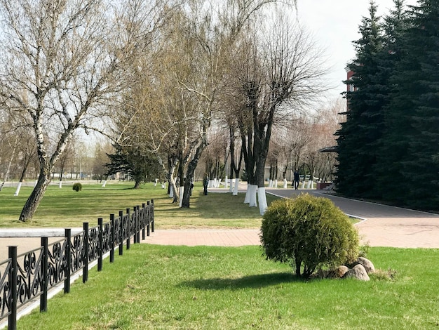 Un triste paisaje otoñal con pasamanos bajos de metal negro y una valla en la calle