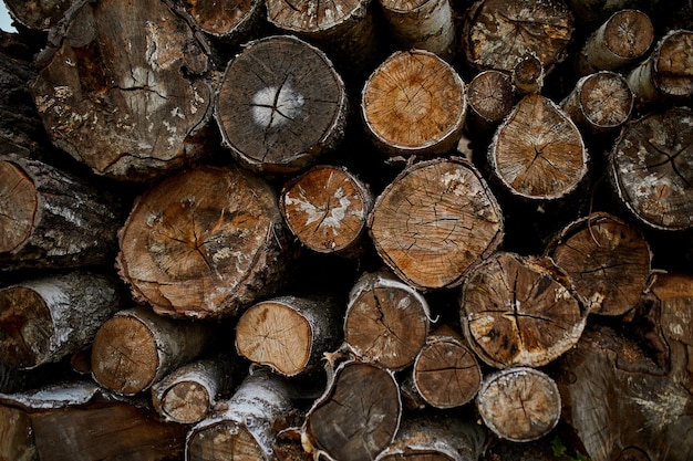 Trocken gehackte gesägte Holzstämme Holzpfahlstruktur