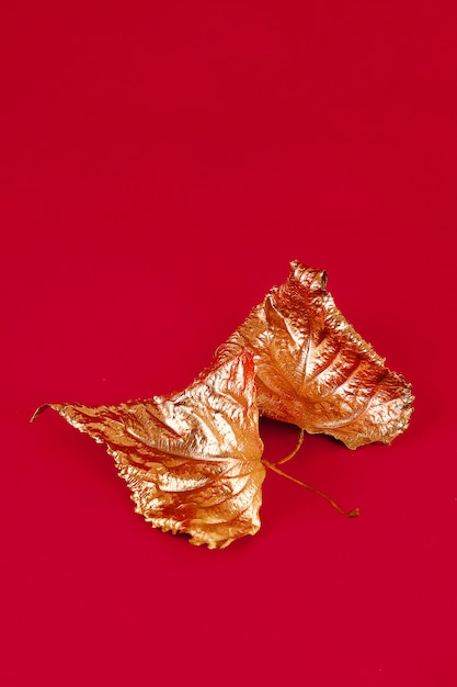 Trockene Blätter des Herbstes gemalt mit Goldfarbe auf roter Oberfläche.