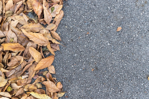 Trockene Blätter lagen auf Asphaltstraße Hintergrund Trockener Blattrahmen Draufsicht flach gelegt