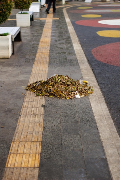 Trockene Blattabfälle organischer Abfall, der zur Reinigung auf dem Bürgersteig gesammelt wurde