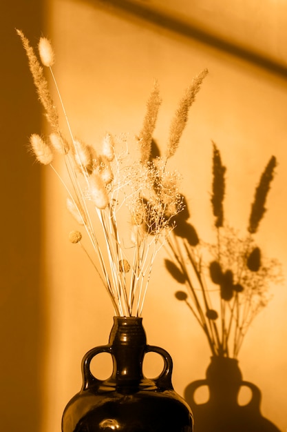 Trockene Blumen in einer Vase bei Sonnenuntergang, harter Schatten.