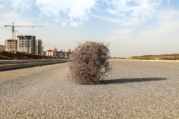 Trockene, dornige Tumbleweed-Pflanze auf einer Wüstenstraße