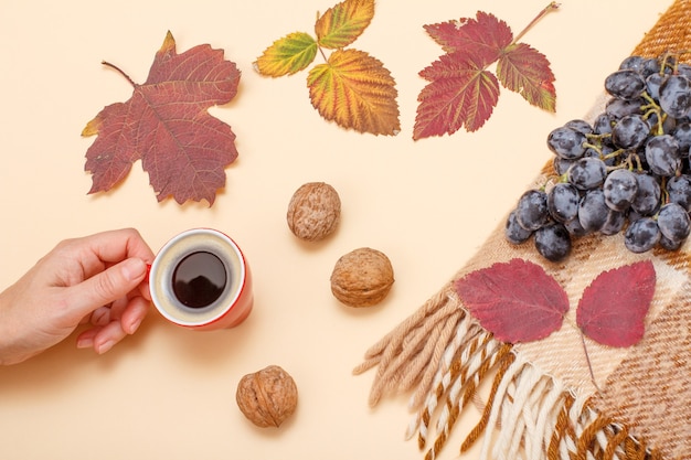 Trockene gelbe und braune Blätter, weibliche Hand mit Tasse Kaffee, Walnüsse und kariertes Plaid mit Trauben auf beigem Hintergrund. Ein Herbstthema. Ansicht von oben.