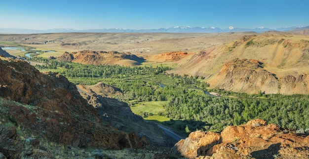 Trockene mongolische Landschaften im Süden des grünen Tals des Altai