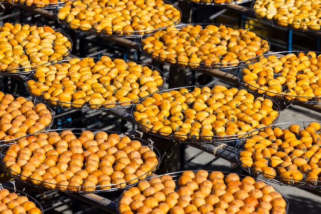Trockene Persimmonfrüchte in einer Fabrik unter Sonnenschein