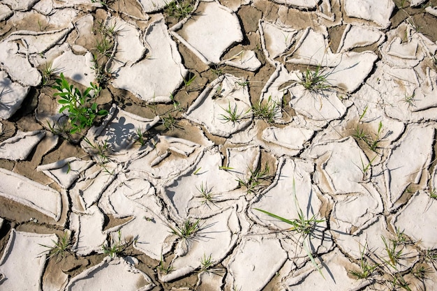 Trockene, rissige Kreidestruktur bei Dürre und Mangel an Regen oder Feuchtigkeit Der rissige Boden der Erde aufgrund des Klimawandels