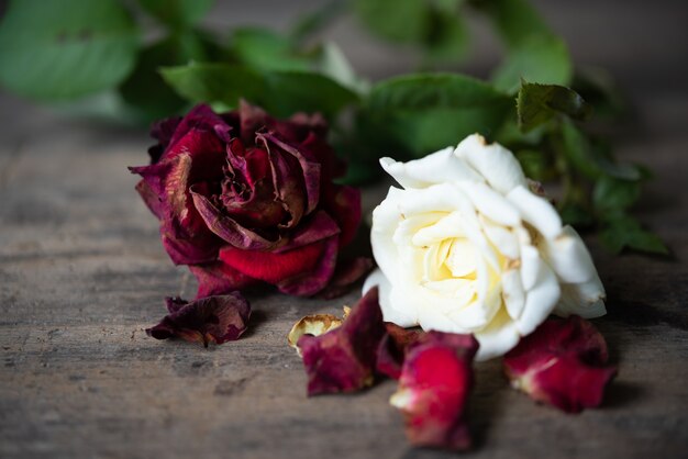 Trockene rote Rosen auf hölzernem Hintergrund des Schmutzes