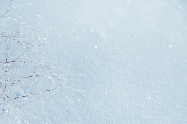 Trockene Wiesenblumen und grasbedeckter Frost im Winterfeld Naturhintergrund am kalten Wintertag